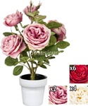 pianta  gr. rosa open 45cm gyi56162