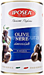 iposea olive nere denocciolate salamoia ml. 4250