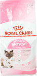 royal canin health nutrition gatto secco baby 2kg