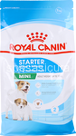 royal canin secco cane mantenimento mini starter mamma e cuccioli 1kg