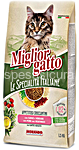 migliorg. spec.ta' croc. suino/ver. 400