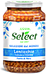 select lenticchie vetro gr.360