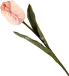 stelo  m. tulipano big 42636