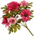 mazzo   p. crisantemi 42617
