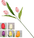 stelo   p. tulipano easy 66cm nic55467